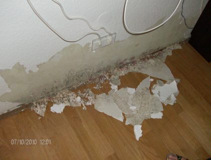 Schaden vorher