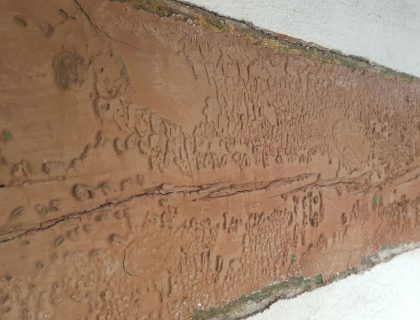 Umbau und Sanierung des Bahnhofes in Beelitz (Denkmal): Fachwerksanierung, Graffitientfernung, Wärmedämmung, Putz