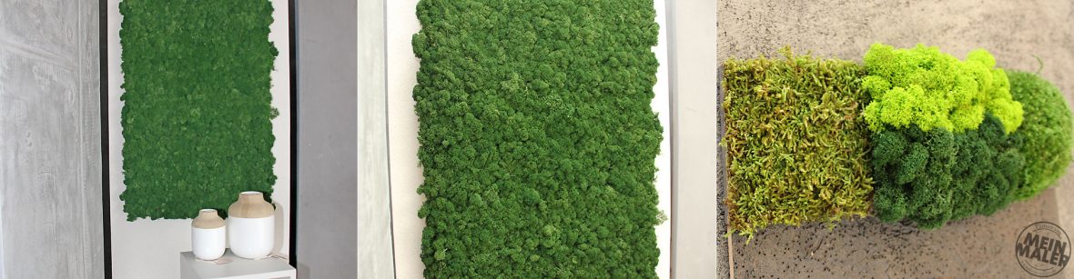 Gesunde Wohlfühlräume mit Begrünungssystemen aus Moos