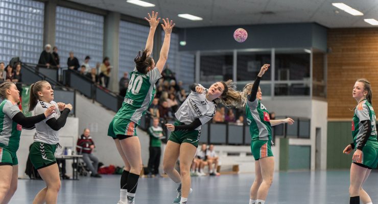 TUS Bothfeld Handball Maler Heyse Sponsoring