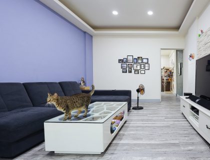 Green Flor Bodenbelag Grand Class GW 801 2