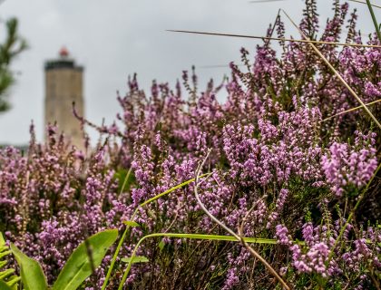 Terschelling - Holland