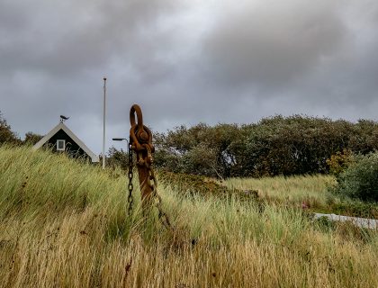 Vlieland - Landscape - Natur