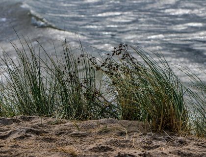 Vlieland Strand