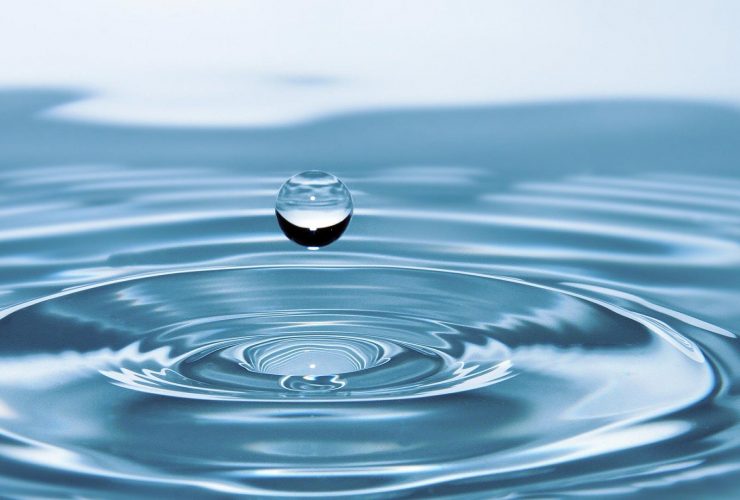 Wasser - unser wichtigstes Lebenselixier