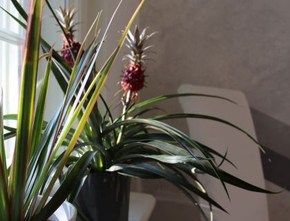 Wohnaccessoires Dekoideen Mein Maler Flaeming Malerei Wohnen Potsdam Treuenbrietzen Brandenburg1