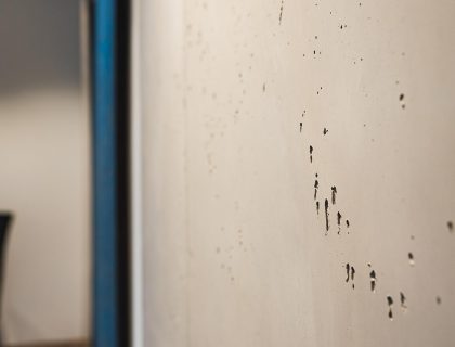 Wand Gestaltung Beton Optik Sachs Baudekoration Lauterbach Hessen 19