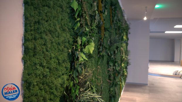 Wandbegruenung BenettiMoss Moos Mooswand Mooslogos Wandpflanzen Maler Braunschweig 07