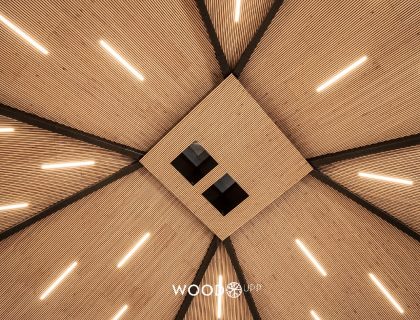 WoodUpp Akupanel Eiche Rustikal Natur Decke Konferenzraum