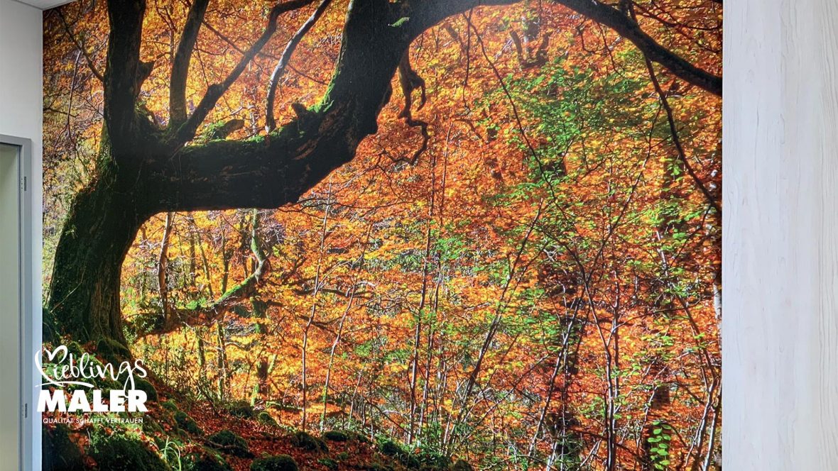 Malerarbeiten Wandgestaltung Fototapete vom Lieblingsmaler aus Fulda 10