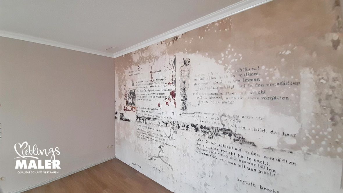 Fototapete Tapezierarbeiten Maler Kassel Wandgestaltung 01