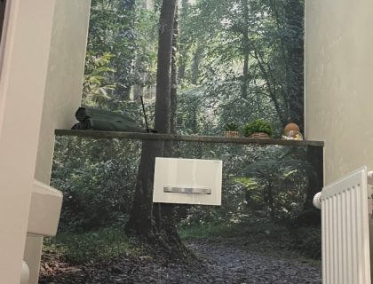 Gäste WC Teil 2: Kleine Räume groß herauskommen lassen ist die Spezialität von Gestaltungsprofis